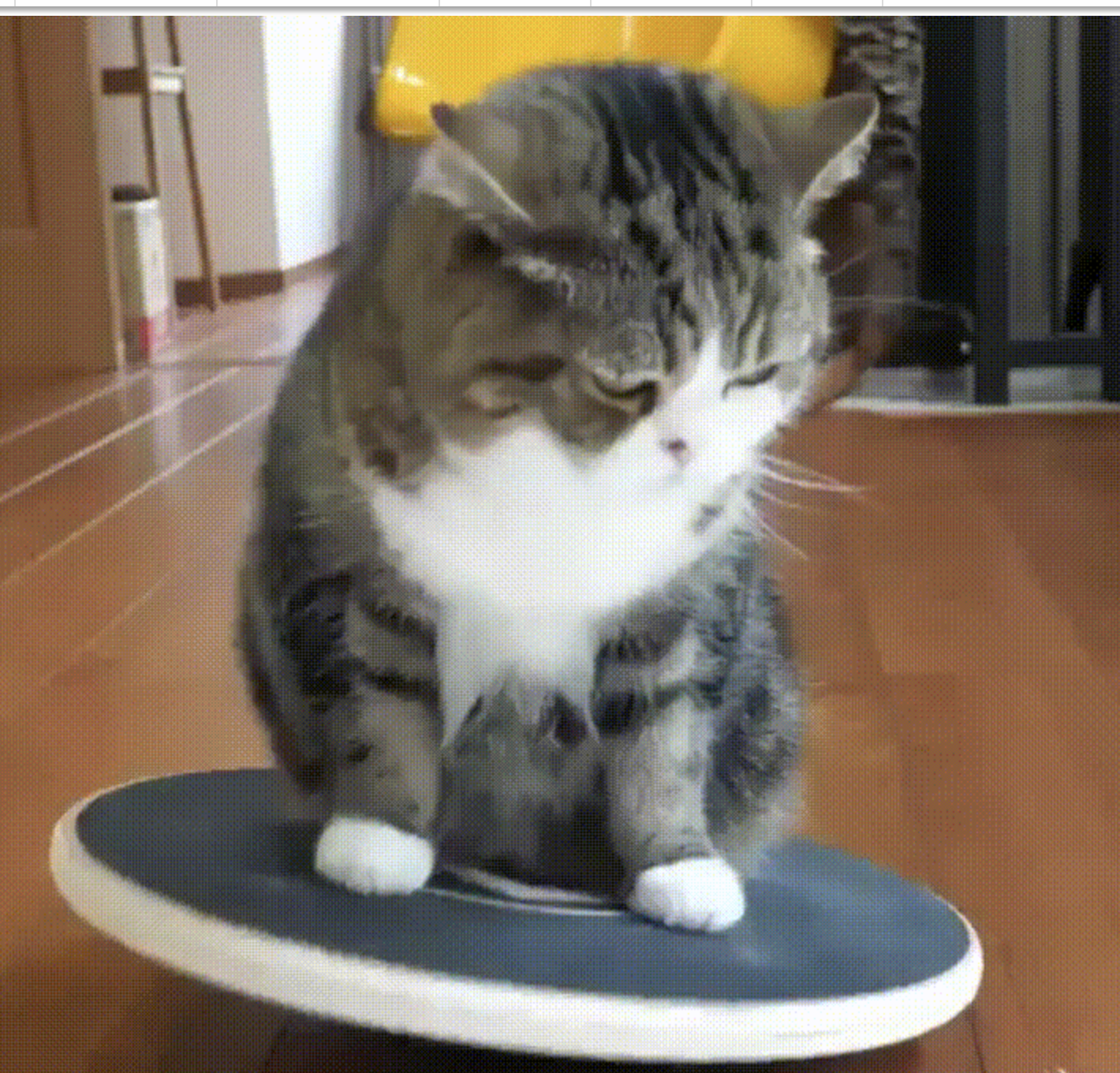 screenshot of the cat balancing