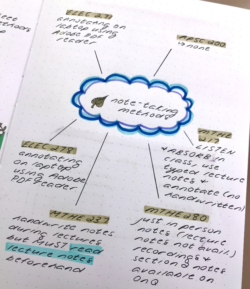 organized notes using mind map structure