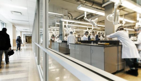 Lab in Chernoff Hall