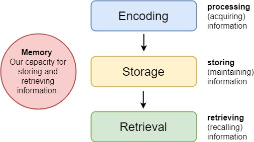Diagram showing encoding, storage, and retrieval as a linear flow of info