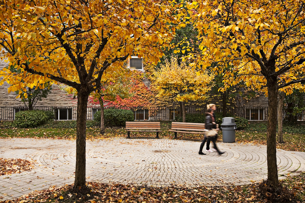 Girl walking through fall scenery on campus
